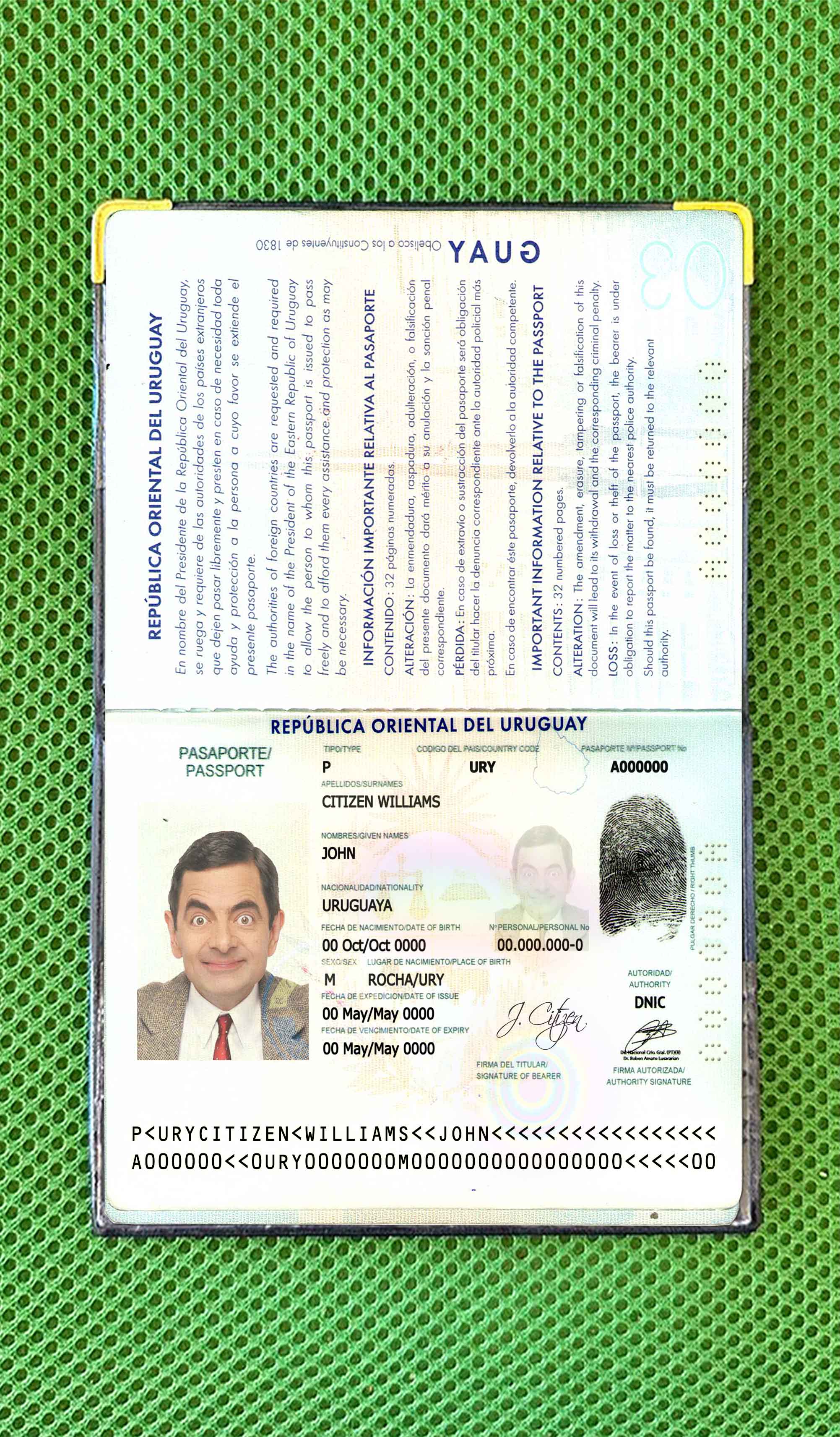 Uruguay passport photo look PSD template